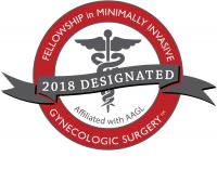 Fellowship in Minimally Invasive Gynecologic Surgery